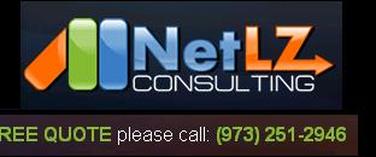 NetLZ Consulting